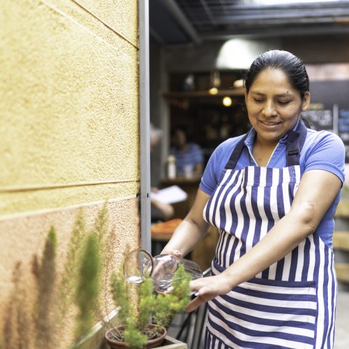 Woman using apron and watering plants